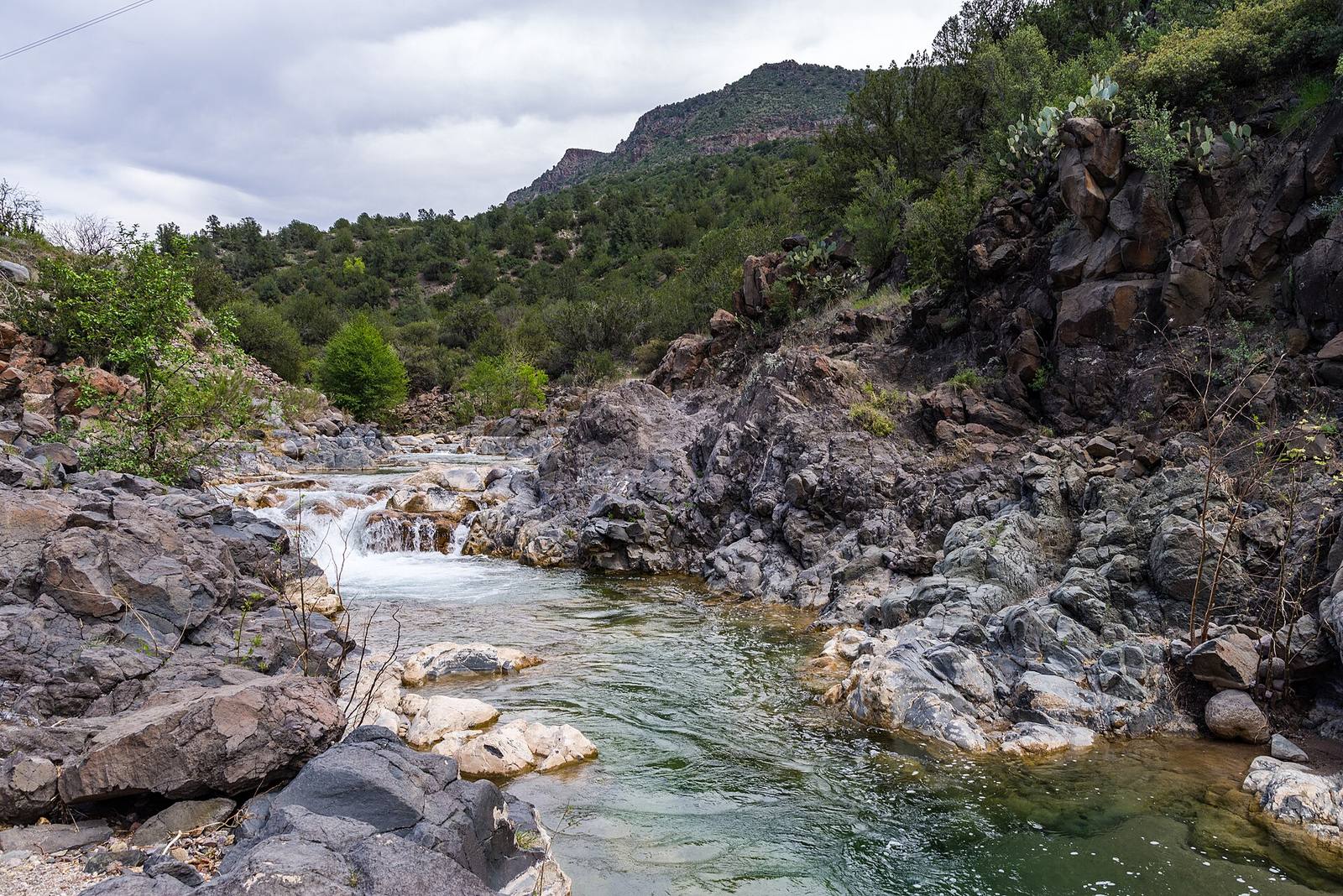 A rocky mountain river cutting through forested terrain