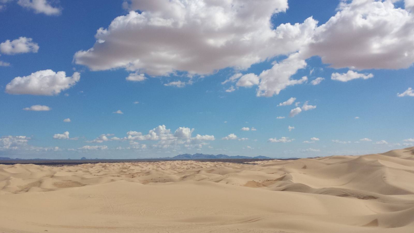 Rolling sand dunes stretching to the horizon under a blue sky